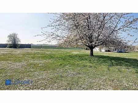 vente terrain 981 m² à ognes (02300)  50 000 €