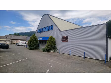 vente autres 650m2 pierrefitte-nestalas 65260 - 490000 € - surface privée