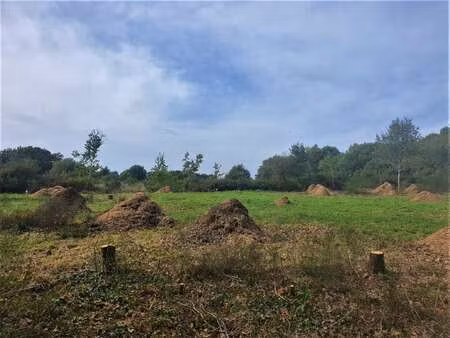 vente terrain à saint-lyphard (44410) : à vendre / saint-lyphard