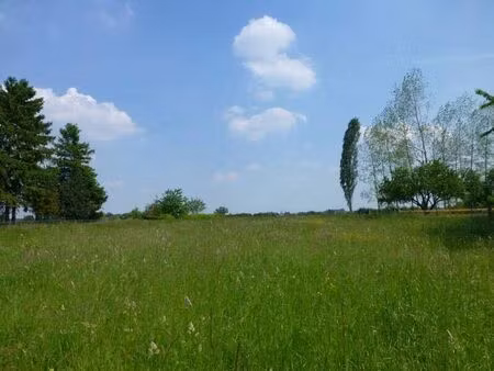 vente terrain 3031 m² erre (59171)