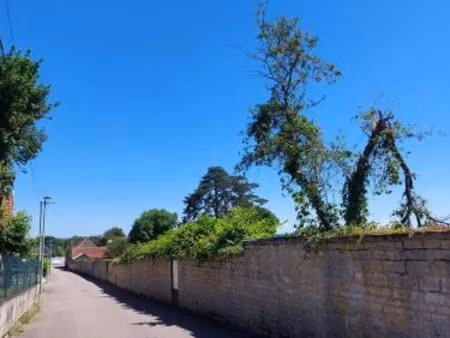 vente terrain 660 m² à maxilly-sur-saône (21270)  31 500 €