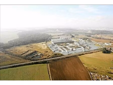 location entrepôt / local d'activités warluis 4 050 m²