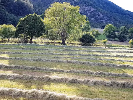 vente maison 657 m² à réotier (05600)  1 050 000 €