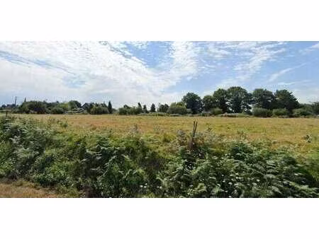 vente terrain à mauron (56430) : à vendre / 1000m² mauron