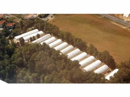 pépinières sur terrain de 8400 m2 mazamet