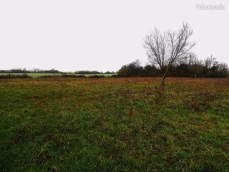 terrain 2500 m² saint georges sur loire