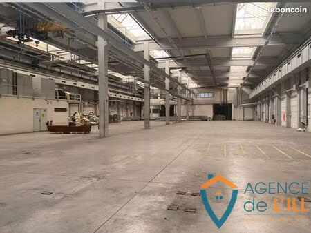 bureaux  entrepôt 2450 m² sélestat