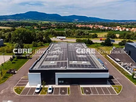 vente local d'activités goxwiller 473 m²