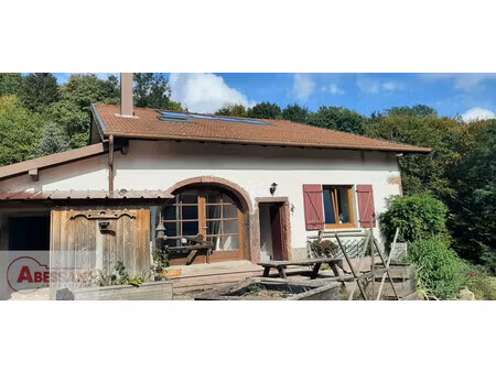 vente maison thiefosse  167m² 6 pièces 350 000€ vosges