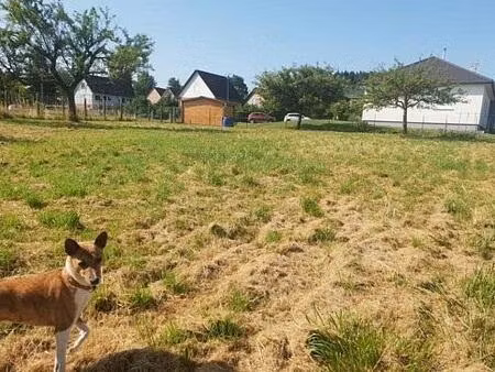 réf: 10011*** sect. friesen / strueth: magnifique terrain de 8 ares