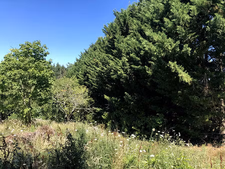 terrain à bâtir de 1371m2