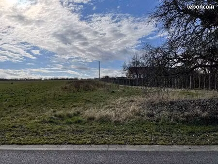 terrain 4 pièces 1000 m²