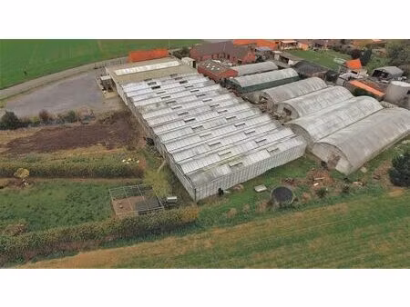 commerce à vendre à templeuve