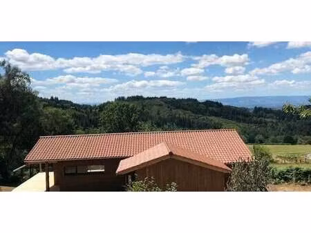 maison avec terrasse ecoche (42)