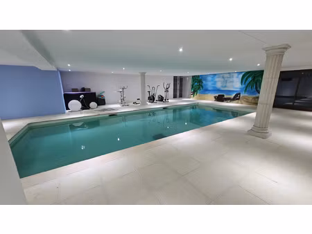 a 40 minutes de lyon  belle villa de 450m2 avec piscine inté