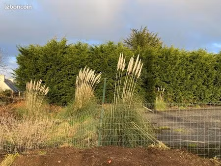 terrain exceptionnel - brest lambezellec