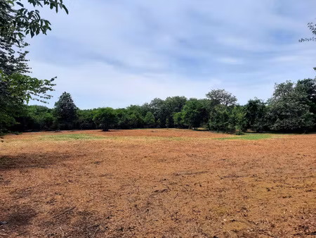 magnifique terrain plat sans vis-à-vis