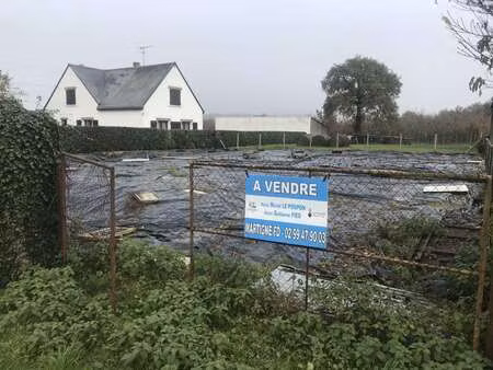 vente terrain à fercé (44660) : à vendre / 522m² fercé