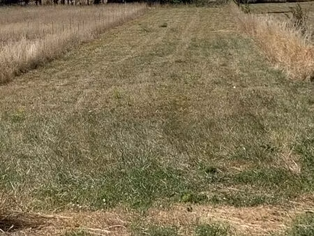 terrain 2267 m² grundviller