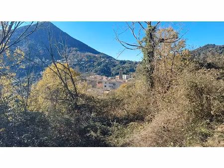 vente terrain 2350 m² à vico (20160)  140 000 €