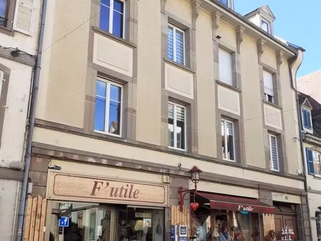 en vente immeuble de rapport 445 m² – 511 000 € |munster