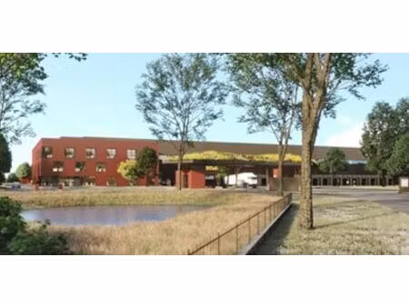 vente/location entrepôt / local d'activités mionnay 30 785 m²