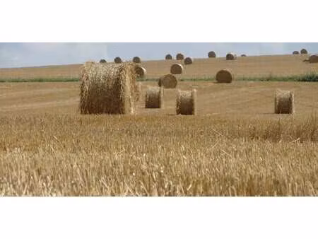 corps de ferme paulnay (36)