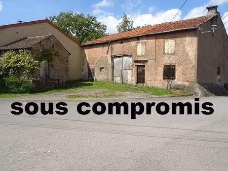 en vente maison 100 m² – 67 000 € |laumesfeld