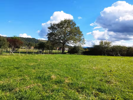 vente terrain espès-undurein 64130 - - surface privée