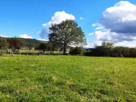 vente terrain espès-undurein 64130 - - surface privée