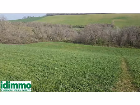 vente terrain 7000 m² à gaillac-toulza (31550)  10 000 €