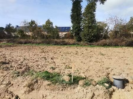 vente terrain à iffendic (35750) : à vendre / 443m² iffendic