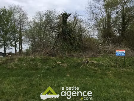 vente terrain 2755 m² à la guerche-sur-l'aubois (18150)  25 900 €