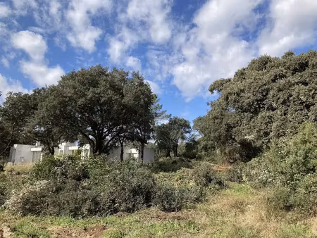 vente terrain 203 m² à baillargues (34670)  233 000 €