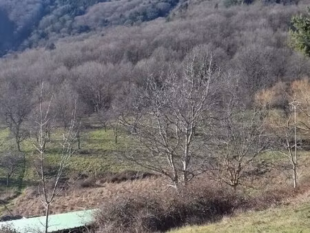 en vente terrain constructible 10 ares – 202 400 € |thannenkirch