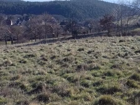 en vente terrain constructible 43 19 ares – 7 126 € |thannenkirch