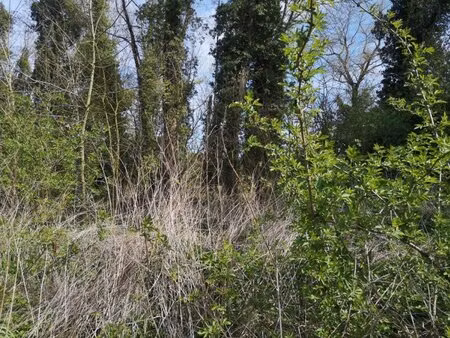en vente terrain non constructible 661 m² – 4 700 € |thun-saint-martin