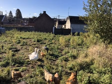 en vente terrain non constructible 902 m² – 38 360 € |beauvois-en-cambrésis