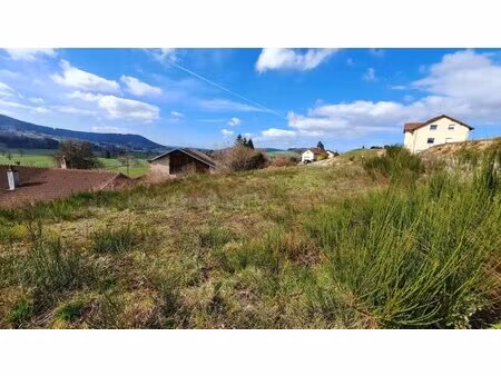 en vente terrain non constructible 1 024 m² – 46 490 € |lépanges-sur-vologne