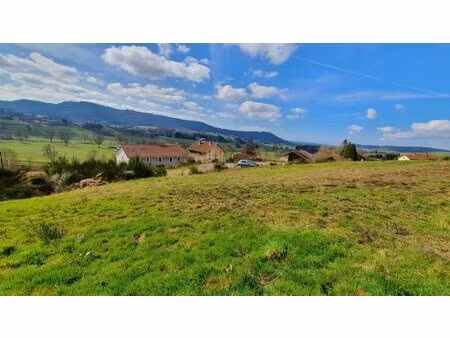 en vente terrain non constructible 997 m² – 44 990 € |lépanges-sur-vologne
