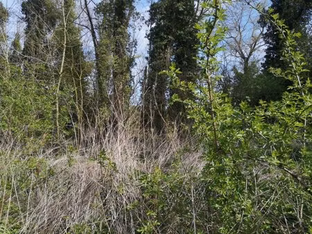 en vente terrain non constructible 661 m² – 4 700 € |thun-saint-martin