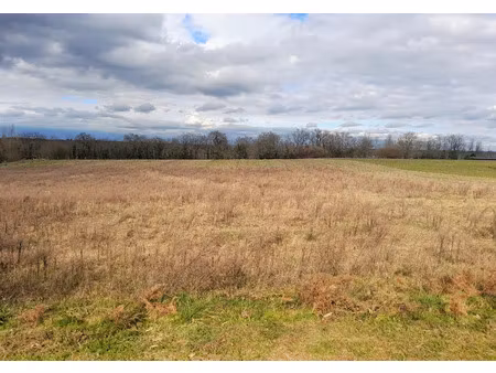 vente terrain 1985 m² à villeneuve-de-marsan (40190)  55 110 €