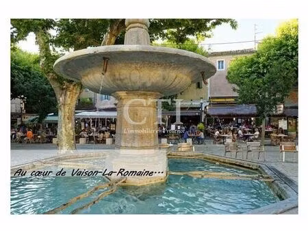 vente commerce 250 m² vaison-la-romaine (84110)