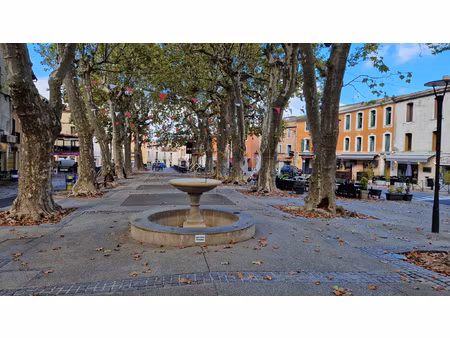 murs commerciaux à vendre sur gignac