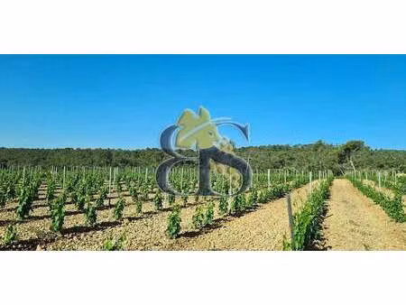 vignoble avec piscine puget-ville (83)