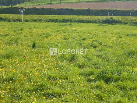 terrain près de montreuil à vendre