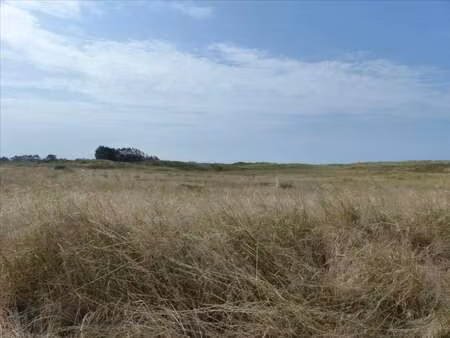 vente terrain à pirou (50770) : à vendre / pirou