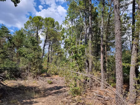 terrain saint-trinit à vendre