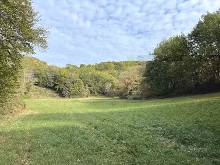 vente terrain 7356 m² à cénac-et-saint-julien (24250)  76 930 €