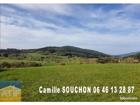 terrain 1478 m² noirétable